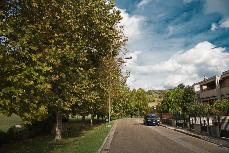 # Ulisse Albiati fotografo architettura esterni: fotografia immobiliare complesso abitativo residenziale immerso nel verde tra zona collinare adibita a vigneto e zona pianeggiante coltivata. Viale alberato a San Casciano in Val di Pesa, Toscana.