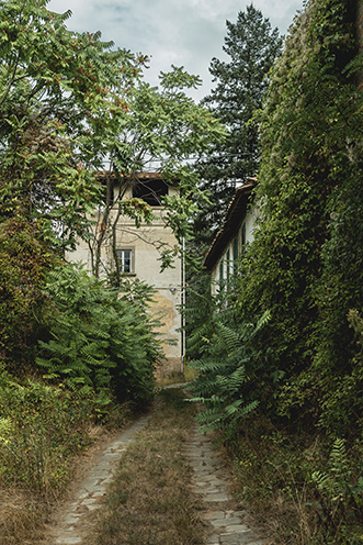 # Ulisse Albiati fotografo architettura esterni: fotografia immobiliare, particolare del giardino in stato di abbandono e scorcio della facciata di antica villa da ristrutturare. Località Camprenna a Reggello, Valdarno, Toscana.